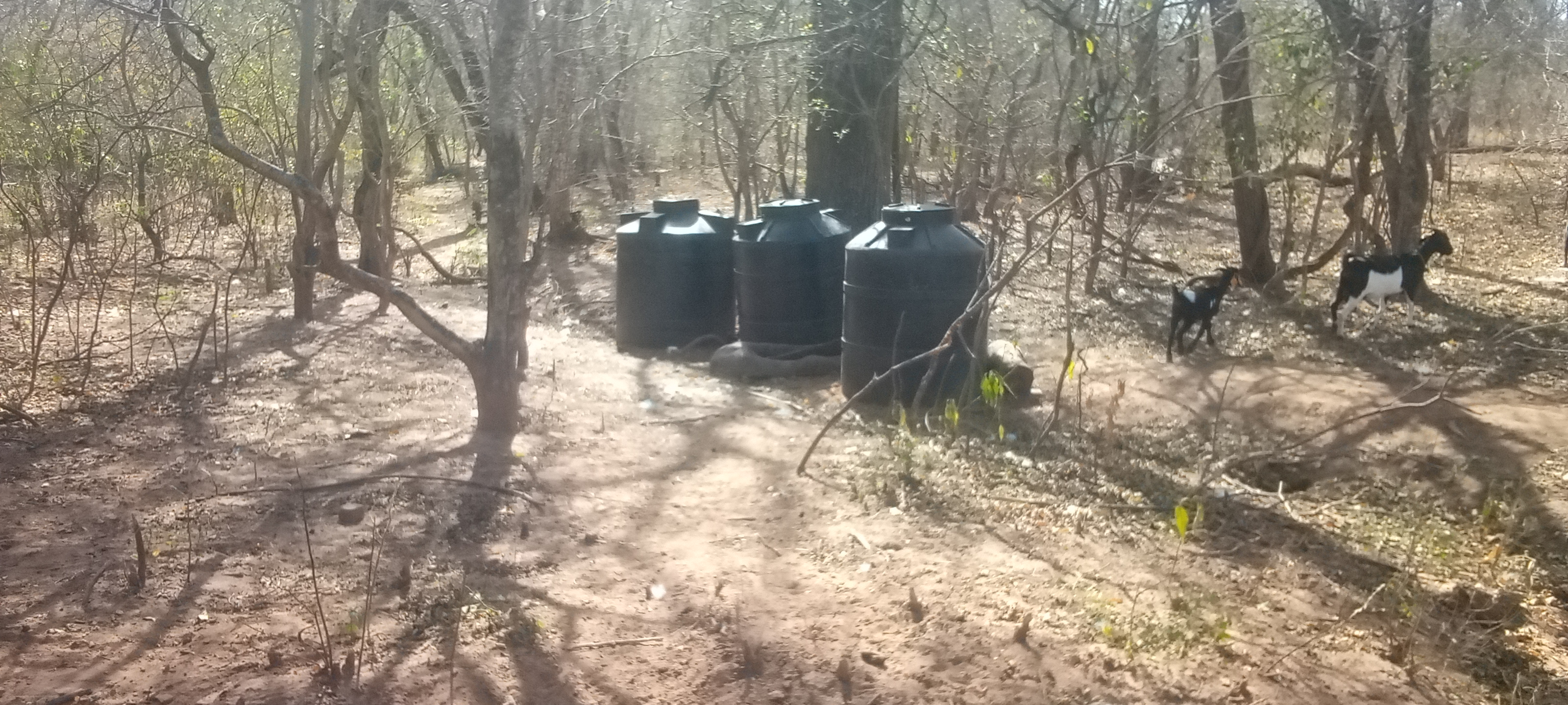 Adjunto Reservorio para almacenamiento de agua comunidad Tentami.jpg
