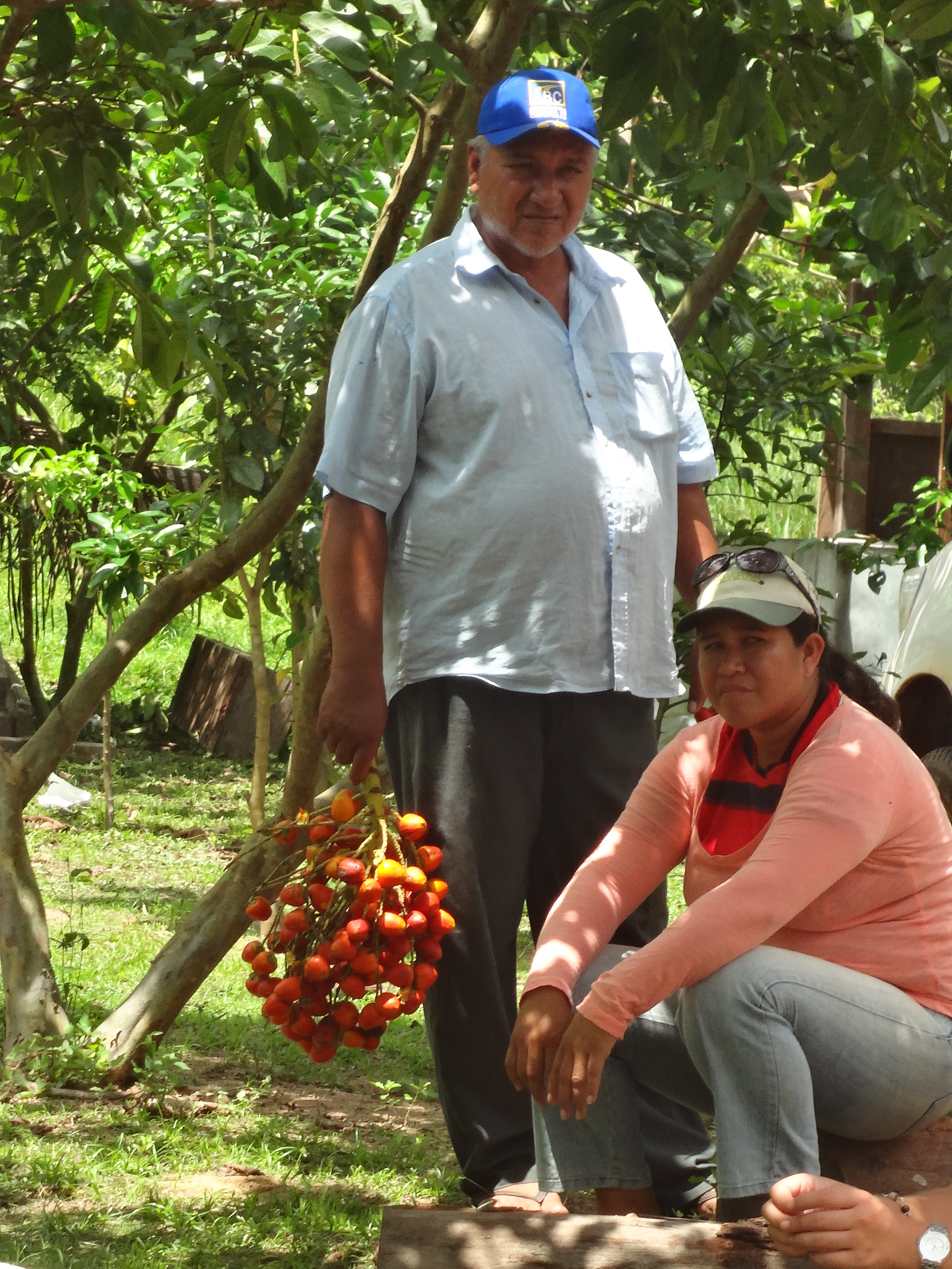 Productores Agroflorestales Amazonia