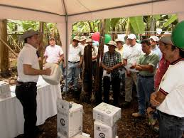 personal técnico 6