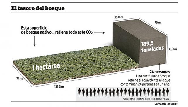 Adjunto Bosques_0.jpg
