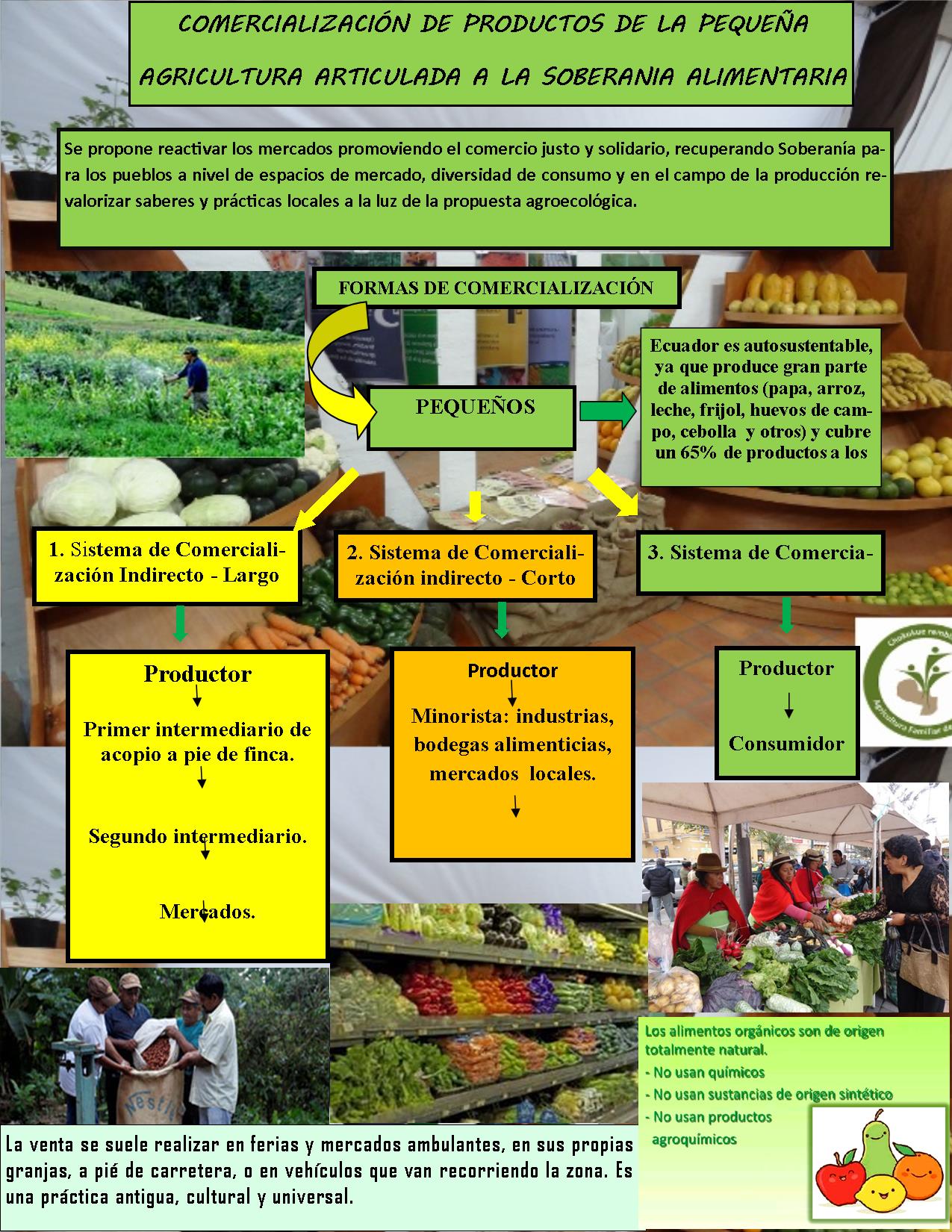 Adjunto Infografía.jpg