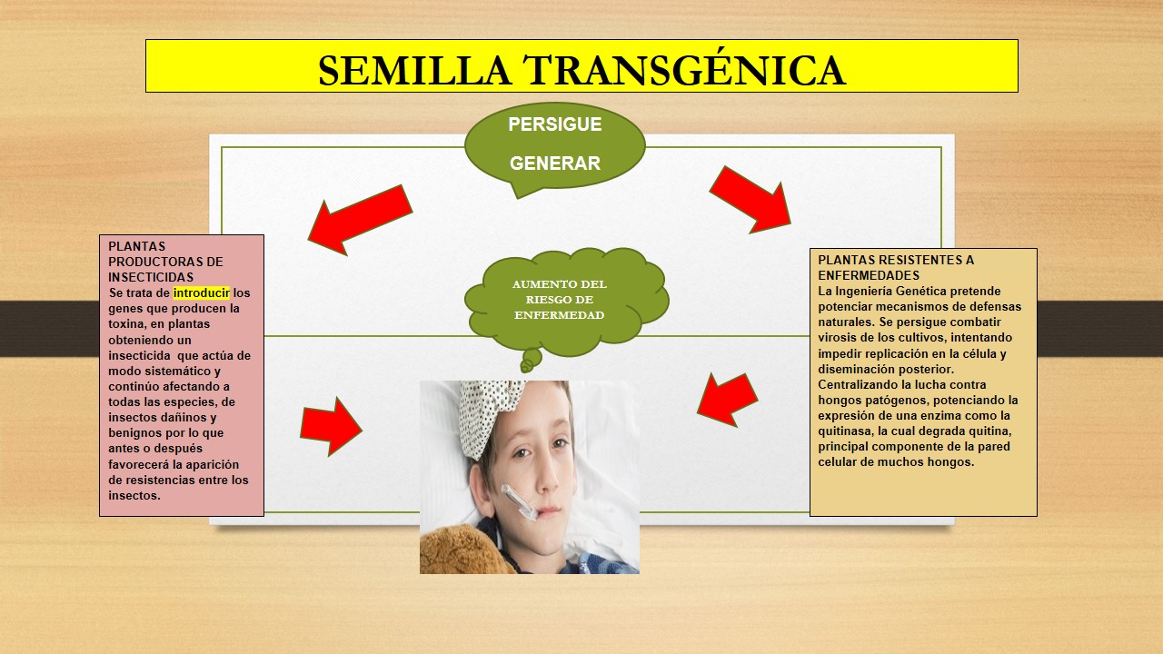 Adjunto Tarea  grupo 6.jpg