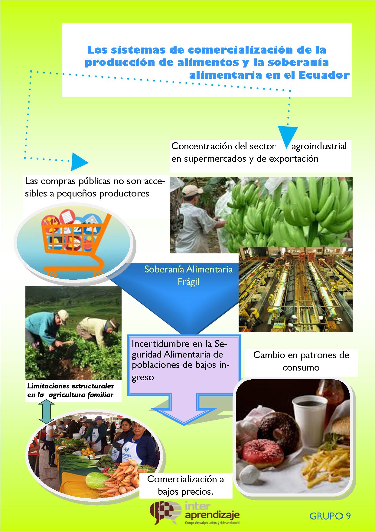 Adjunto Infografía 1 Unidad 4.jpg