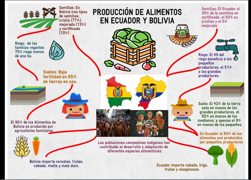 Adjunto Infografìa 1.jpg