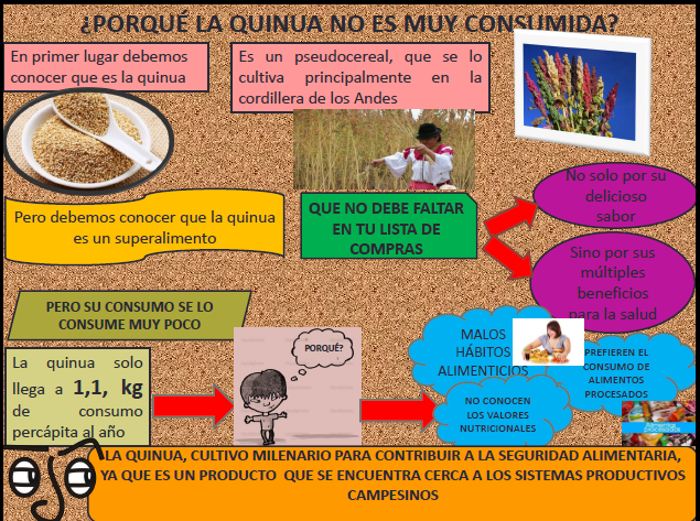 Adjunto INFO QUINUA.png