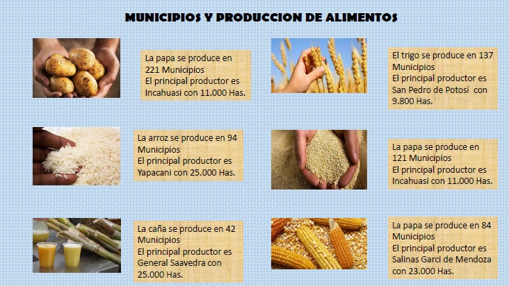 Adjunto info produccion 1.jpg