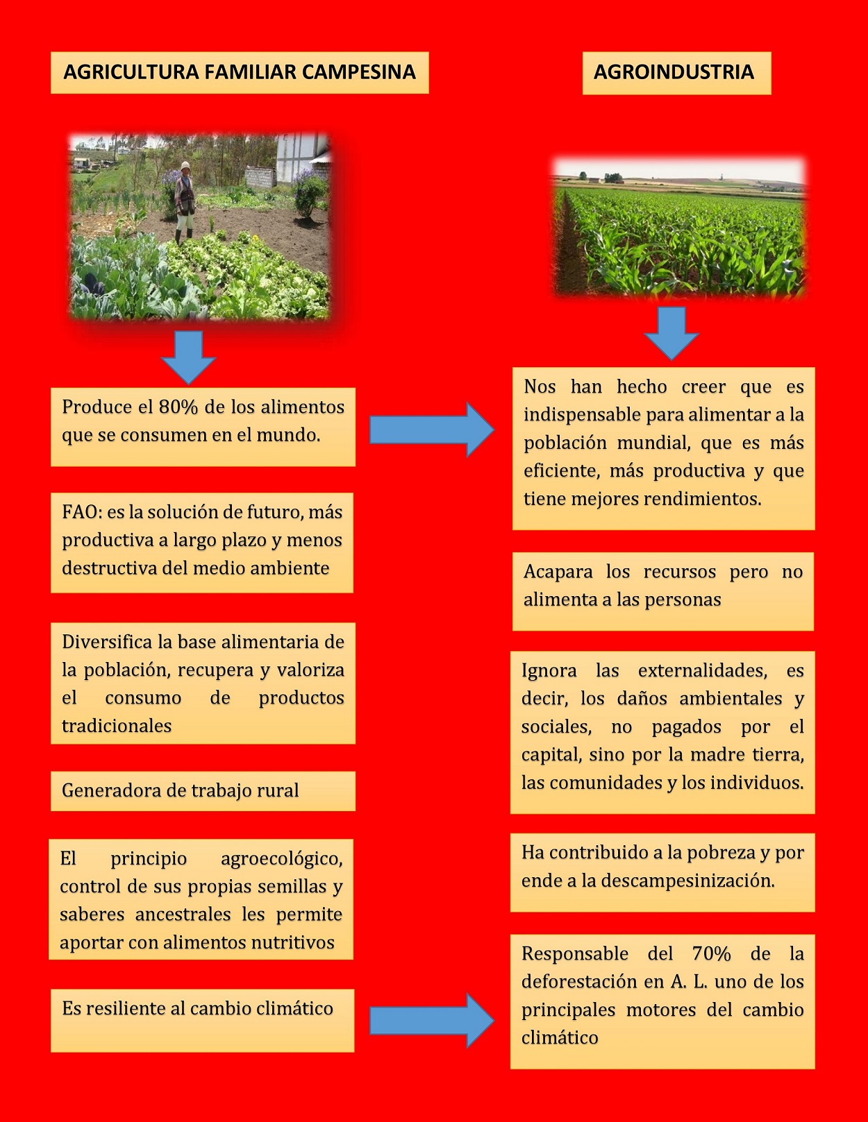 Adjunto 0003.jpg