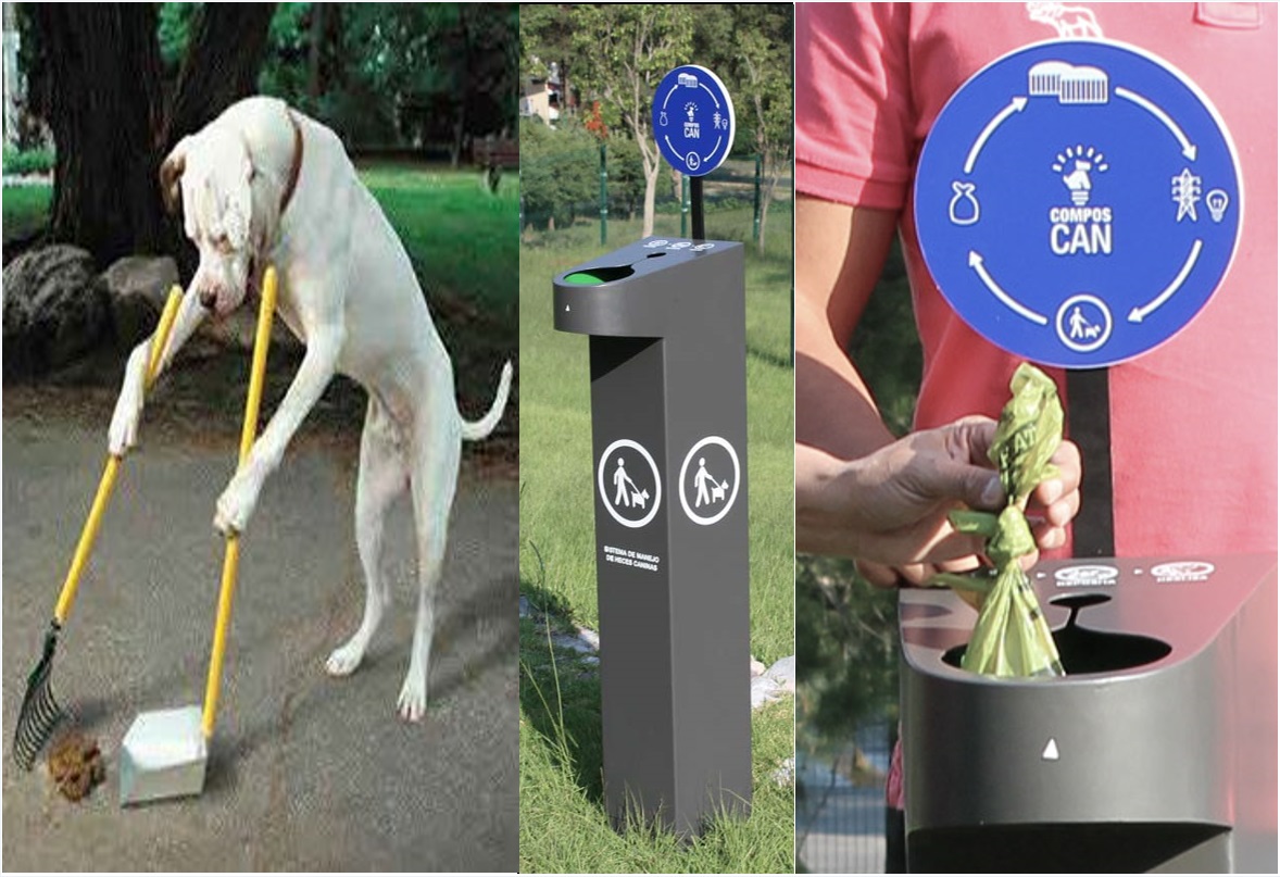 Adjunto Heces Caninas.JPG