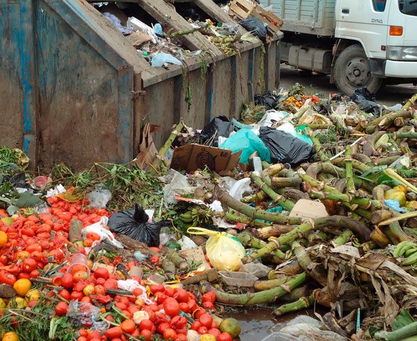 BASURA ORGANICA