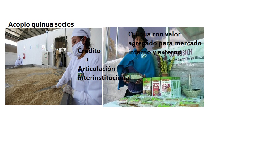 Adjunto Foto idea proyecto.jpg