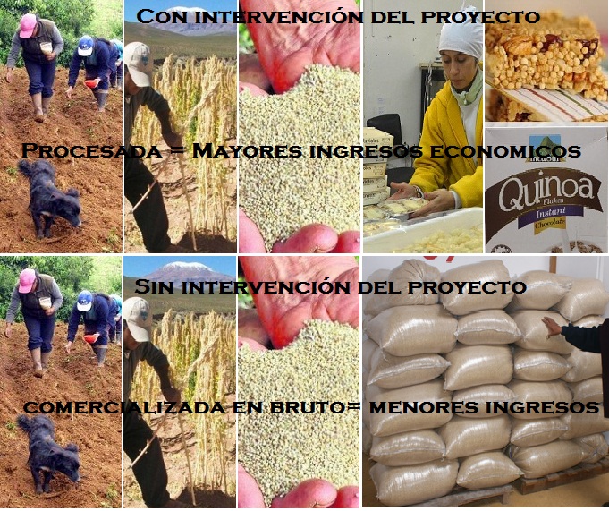 Adjunto PROYECTO_QUINUA_HRSL.jpg