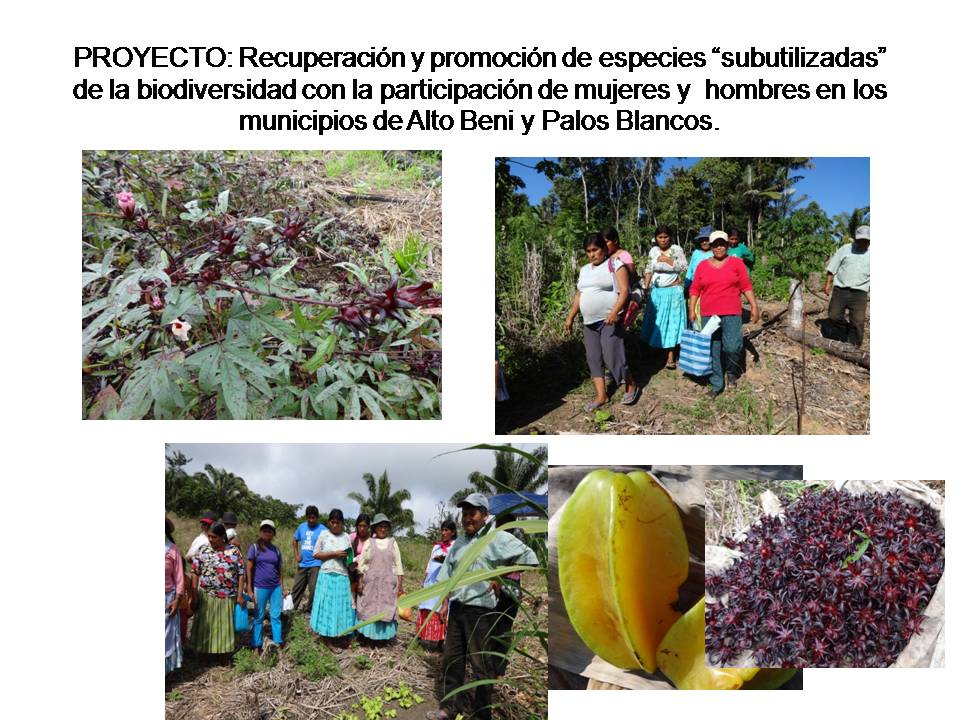 Adjunto IMAGEN Foro 1.jpg