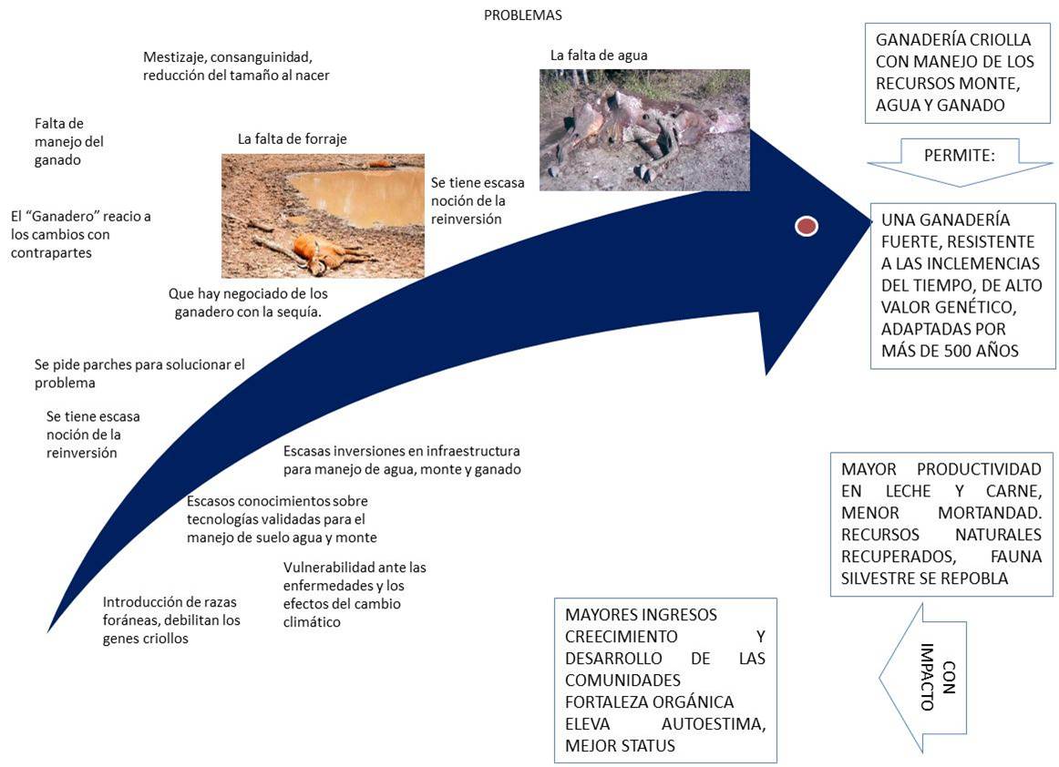 Adjunto Imágen_del_proyecto.jpg
