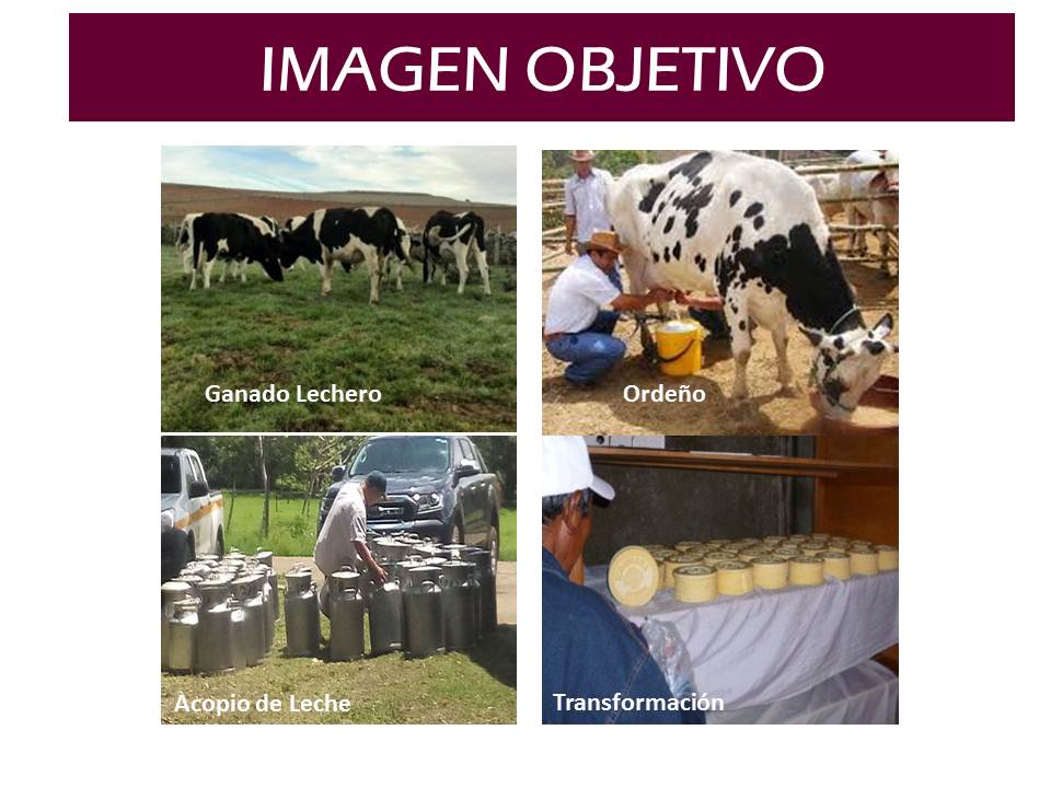 Adjunto IMAGEN OBJETIVO_1.jpg