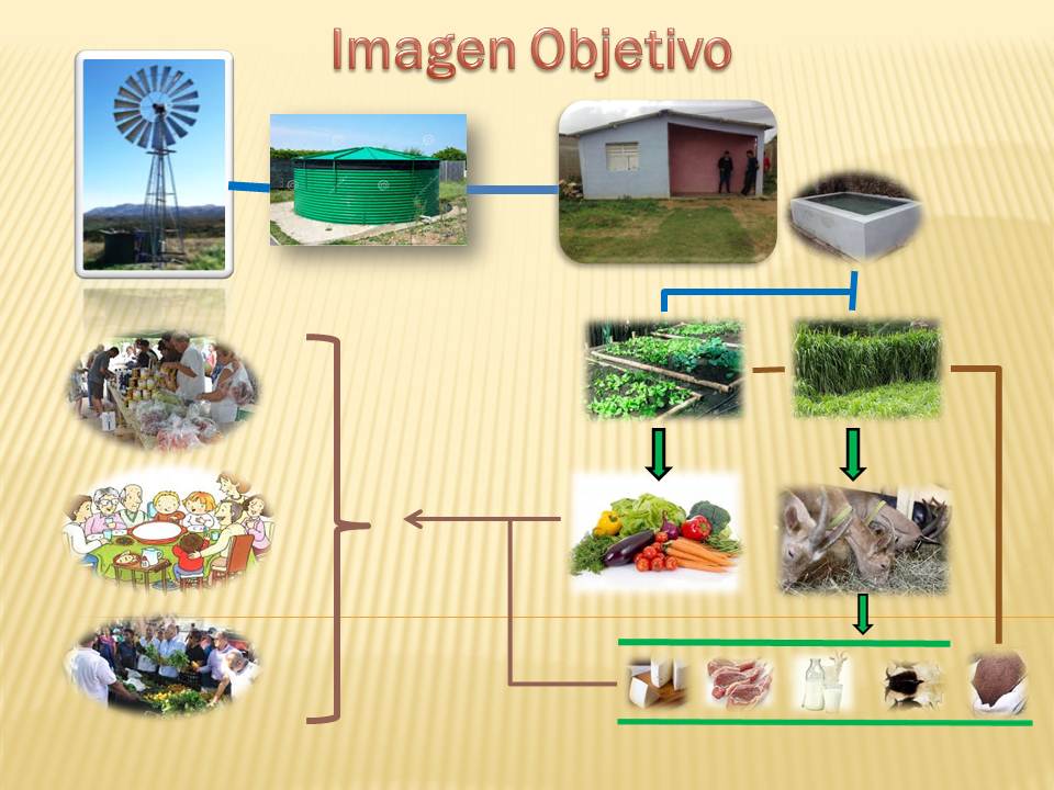 Adjunto Imagen Objetivo.jpg