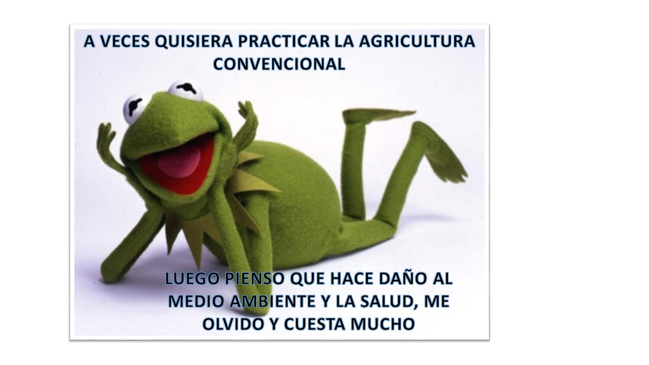Adjunto MEME AGROECOLOGIA.jpg