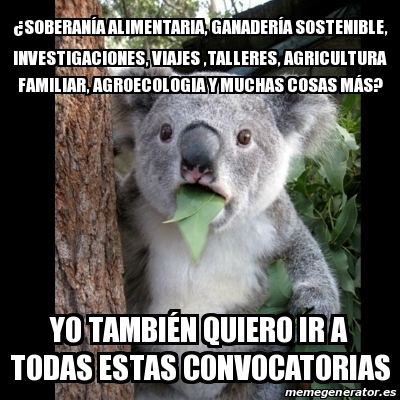 Adjunto Imagen del bla bla.jpg