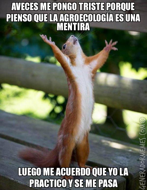 Adjunto MEME 3.jpg
