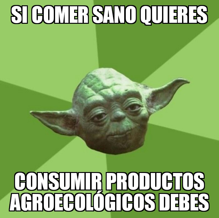 Adjunto Memes.jpg