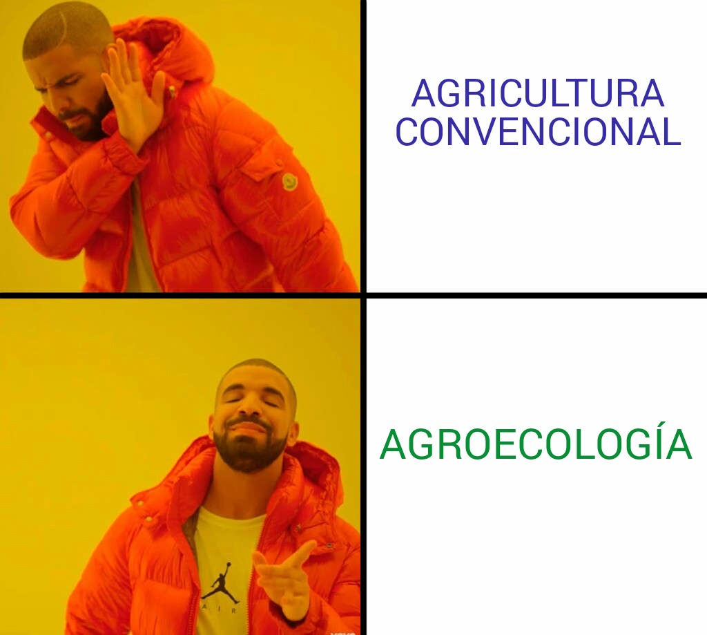 Adjunto Memes2.jpg