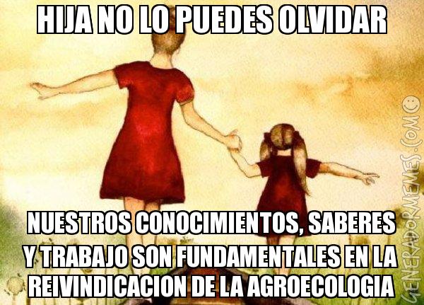 Adjunto w4pxzd9e2ih1l9chowmfwrg4laee8pjuvp22gnrzpseg1fat4laeodk3c28a3f7.jpg