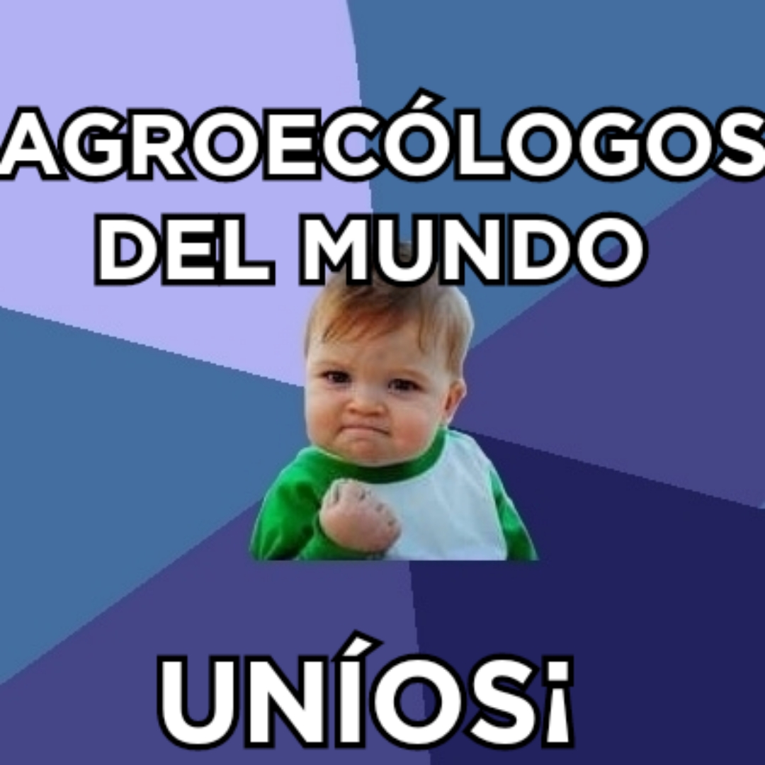 Adjunto 515201815579.jpg