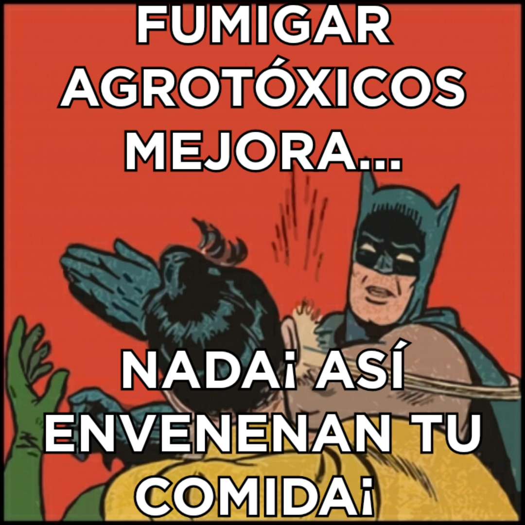 Adjunto 5152018175042.jpg