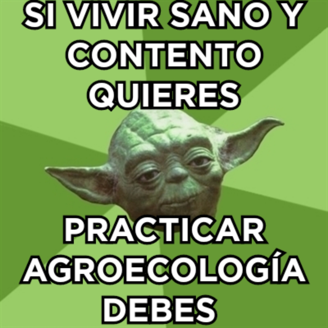 Adjunto 5152018182318.jpg