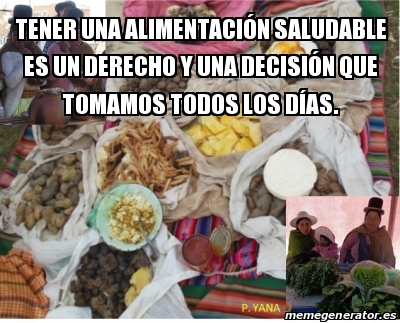 Adjunto P_YANA1.jpg
