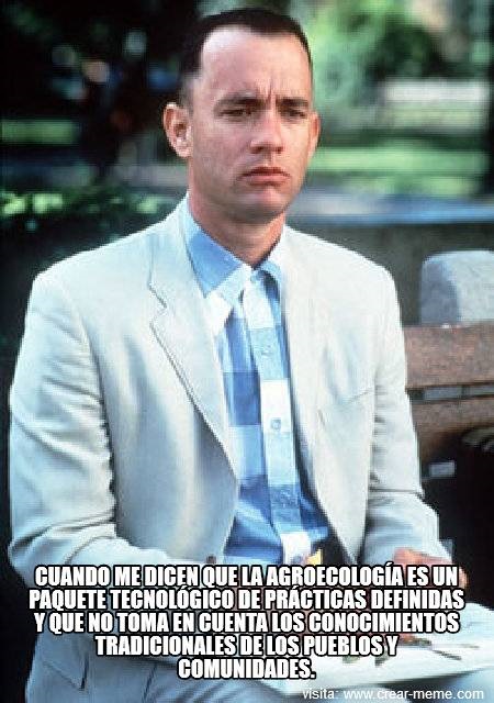 Adjunto P_YANA2.jpg