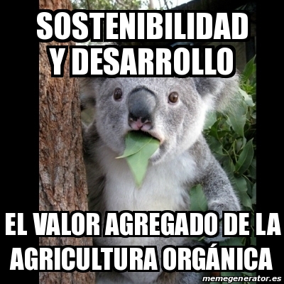 Adjunto Meme Ruth Lucely.jpg