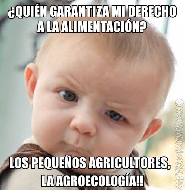 Adjunto Derecho a la alimentación.jpg