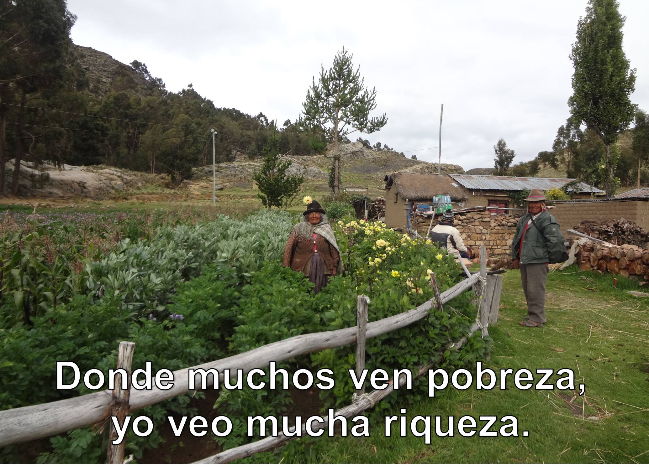 Adjunto Meme agroecologia.jpg