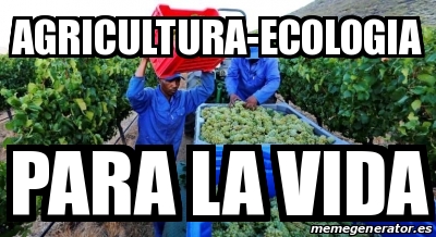Adjunto enviarmeme.jpg