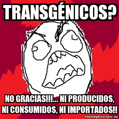 Adjunto MEME - Gabriela Terrazas Chavez.jpg