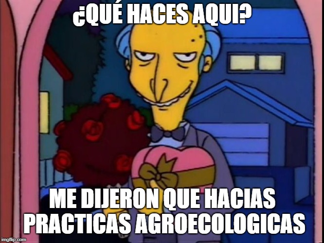 Adjunto DY8Sj0RUQAAyZeW.jpg