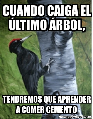 Adjunto agroecologia.jpg