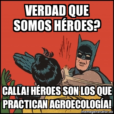 Adjunto 29433935.jpg
