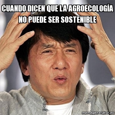 Adjunto 29433960.jpg