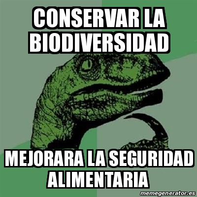 Adjunto 29434181.jpg