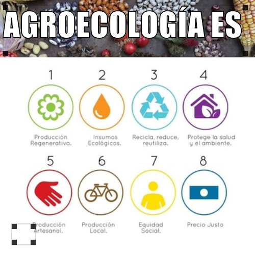 Adjunto meme.png