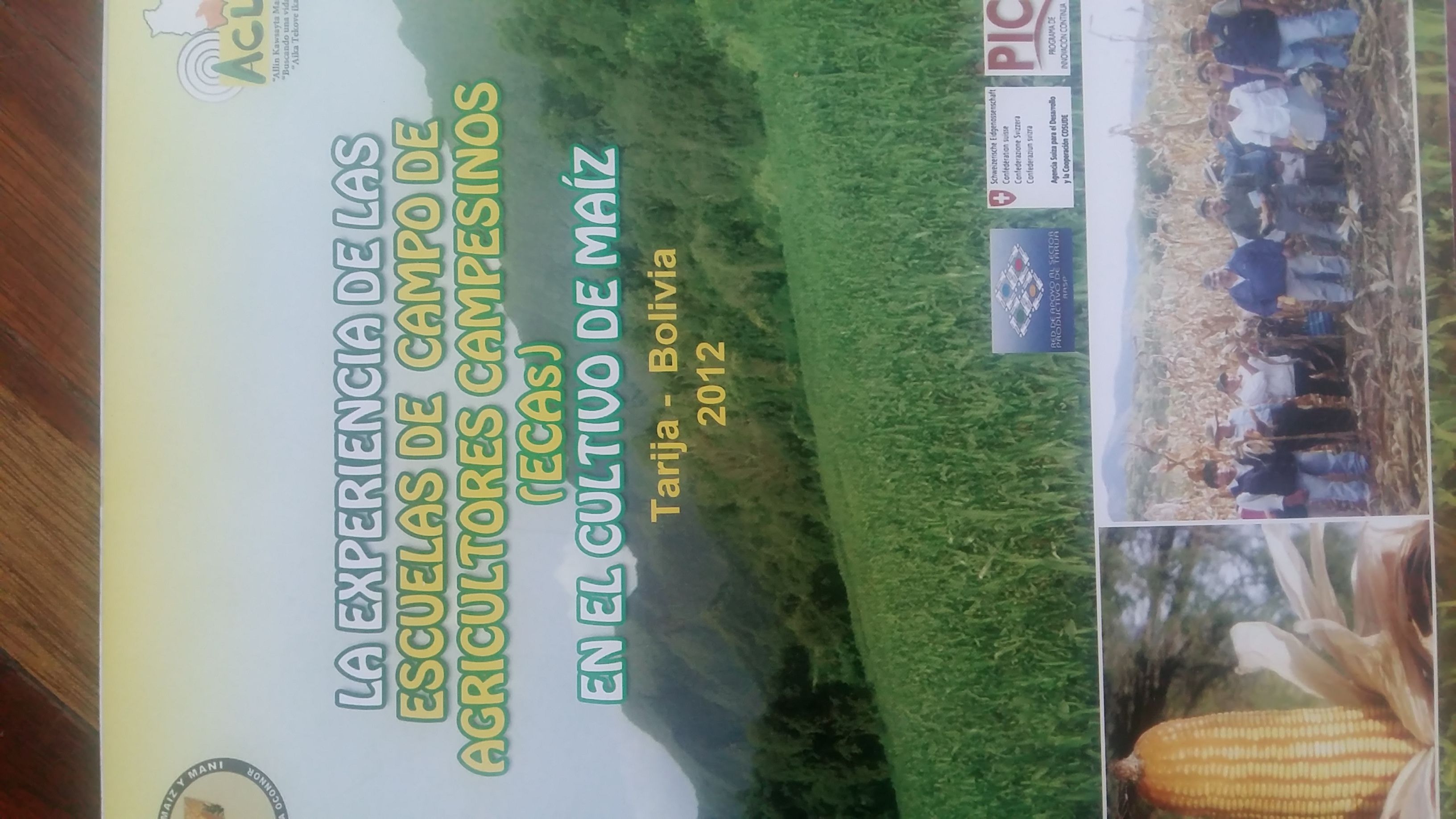 Adjunto 20180610_153720.jpg