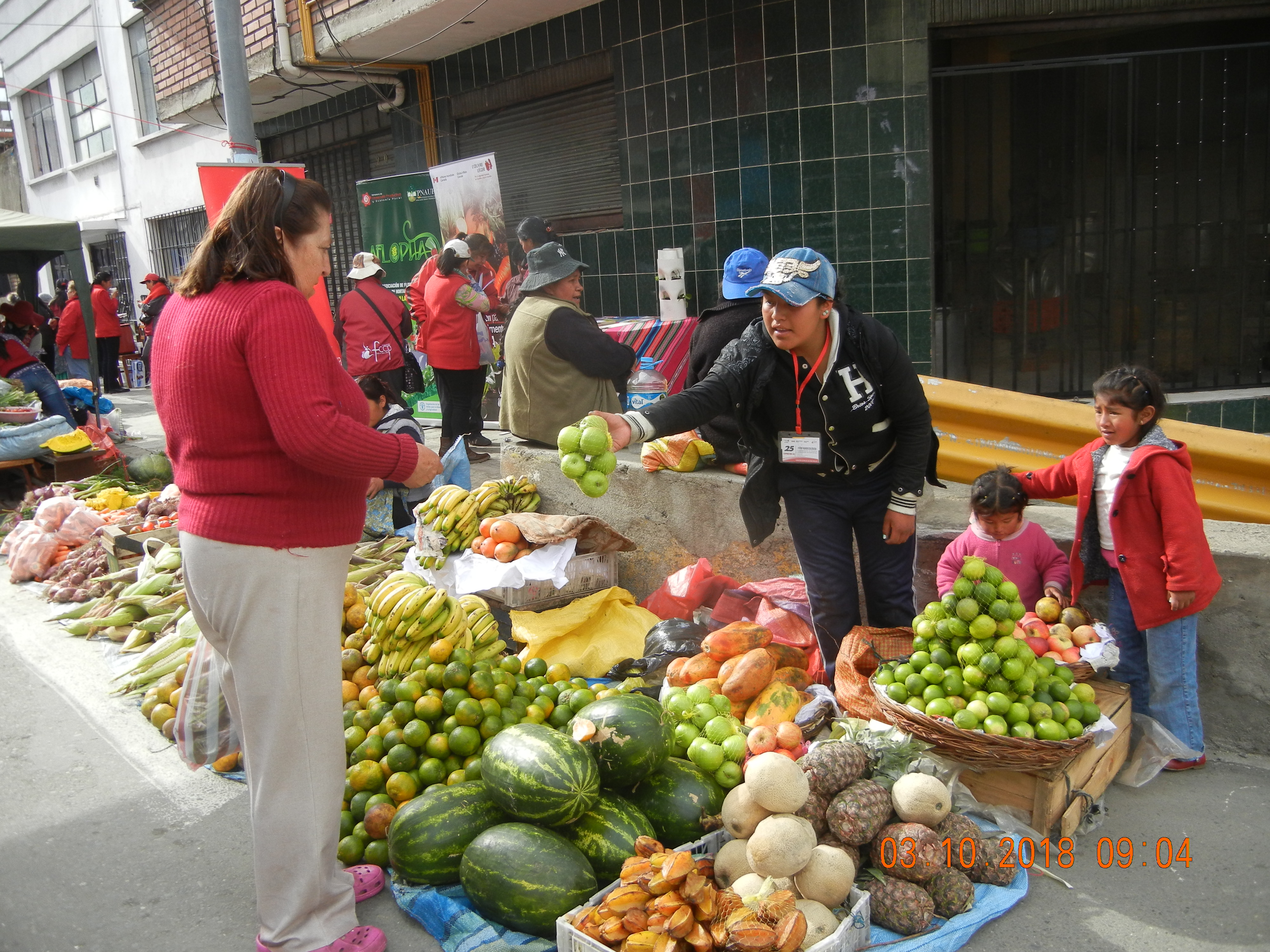 Adjunto DSCN2114.JPG