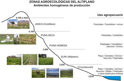 Adjunto agroecologia del altiplano.jpg