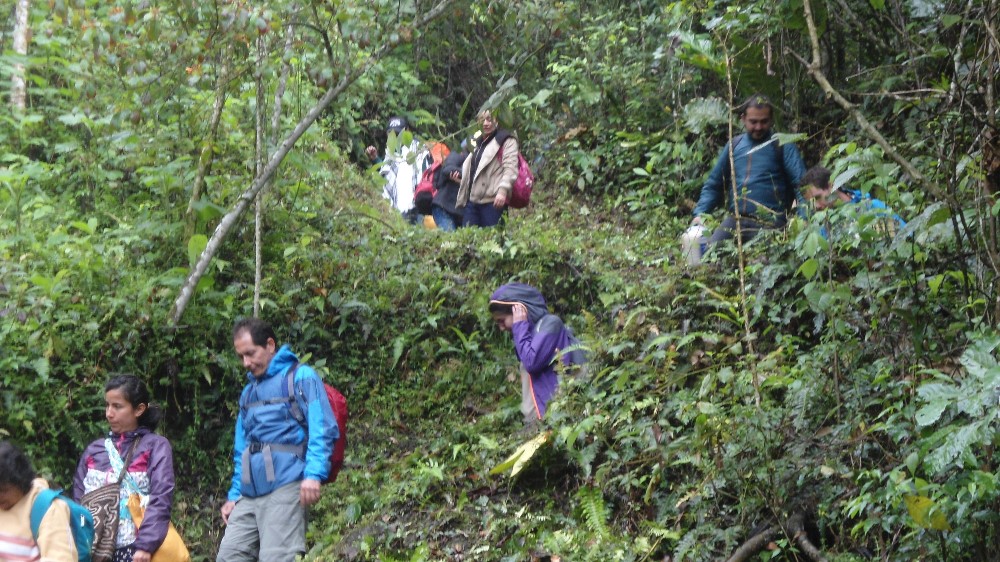 Andes Colombianos