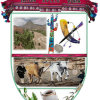 Imagen de Grupo Yura - Autonomías indígenas en Bolivia (GA)