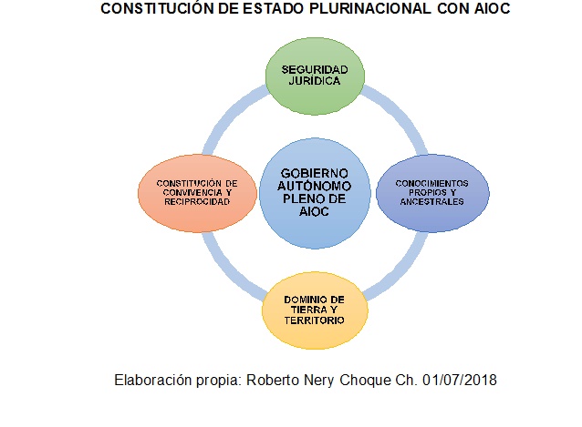 Adjunto ESTADO PLURINACIONAL AIOC.jpg
