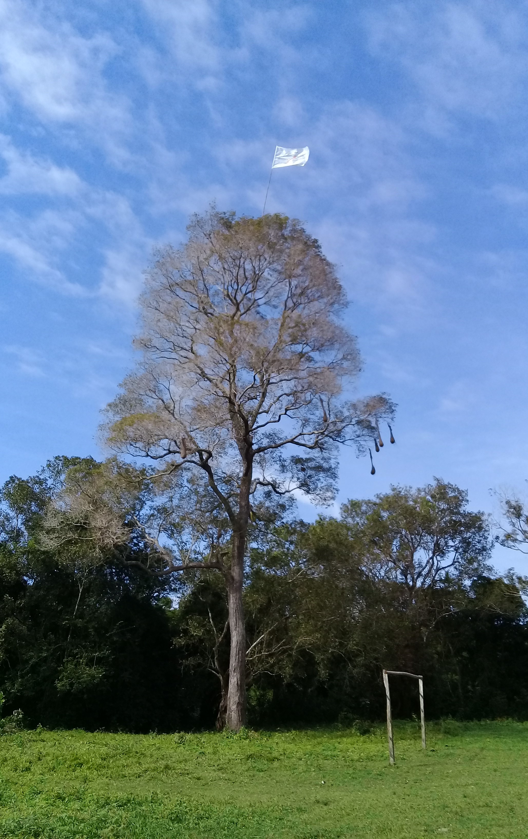 Adjunto 20180604_102511.jpg