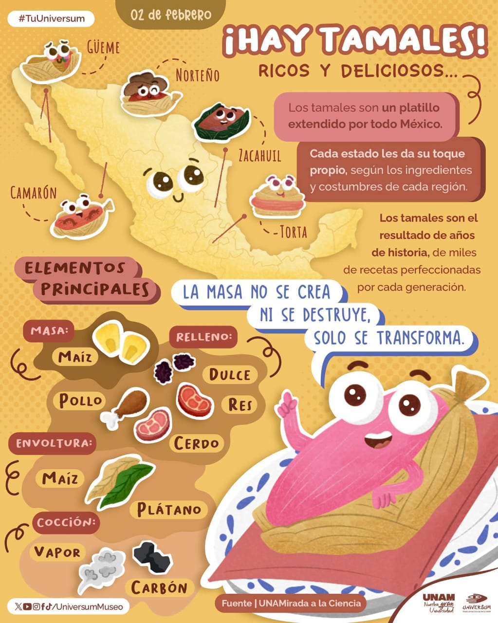 Infografía de elementos principales de los tamales (México)
