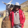 Imagen de JOSE MANUEL HUANCA CALLE